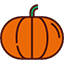 Minnesota Pumpkins